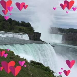 Meet your Posher, Jinghong